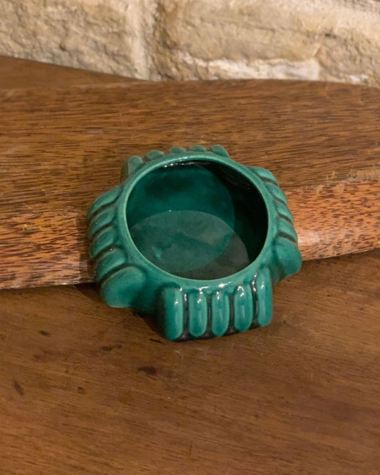 THE GROOVY GREEN DISH